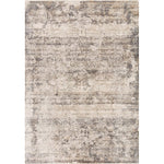 Primary vendor image of Loloi Homage (HOM-01) Transitional Area Rug