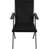 Noir Henderson Dining Chair - Sungkai/Mindi, Industrial Steel & Fabric, 21" W