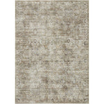 Primary vendor image of Loloi Bonney (BNY-08) Traditional Area Rug
