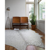 Primary vendor image of Loloi Bryce (BZ-09) Contemporary Area Rug