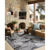 Loloi Easton (ESN-09) Indoor/Outdoor Area Rug