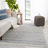Jaipur Living Fontaine Galway (FNT03) Classic Area Rug