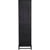 Noir Chandler Tall Cabinet, Black Steel, 19.5" W