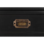 Noir Charles Chest, Pale - Mahogany, 48" W