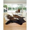 Loloi Grand Canyon (GC-05) Transitional Area Rug
