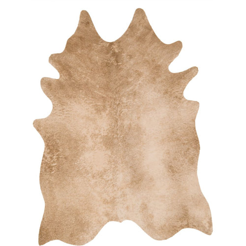 Primary vendor image of Loloi Grand Canyon (GC-09) Transitional Area Rug