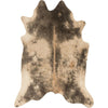 Loloi Grand Canyon (GC-13) Transitional Area Rug