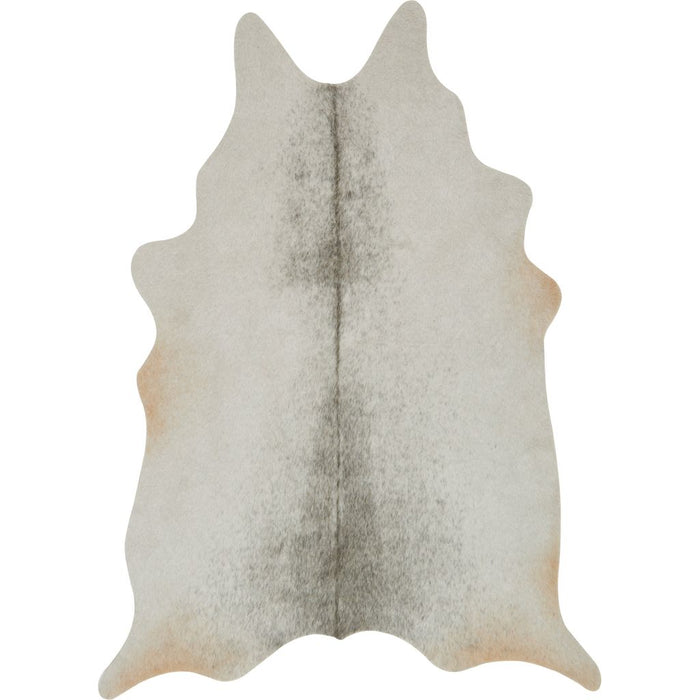 Loloi Grand Canyon (GC-15) Transitional Area Rug