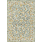 Primary vendor image of Loloi Julian (JI-01) Transitional Area Rug