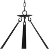 Noir Swan Chandelier - Industrial Steel