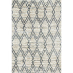 Primary vendor image of Loloi Quincy (QC-04) Shags Area Rug