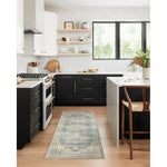 Loloi Skye (SKY-12) Traditional Area Rug