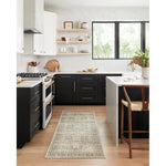 Loloi Skye (SKY-13) Traditional Area Rug