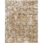 Loloi Theia (THE-02) Traditional Area Rug