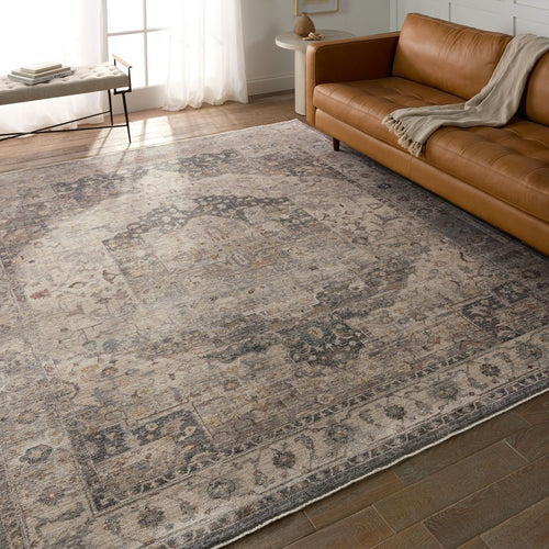 Vibe by Jaipur Living Terra Starling (TRR17) Classic Area Rug