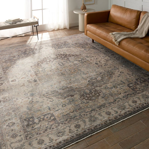 Vibe by Jaipur Living Terra Starling (TRR19) Classic Area Rug