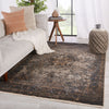 Vibe by Jaipur Living Zefira Enyo (ZFA02) Traditional Area Rug