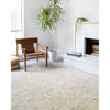 Primary vendor image of Loloi Ziva (ZV-01) Contemporary Area Rug