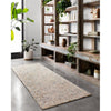 Loloi Ziva (ZV-02) Contemporary Area Rug