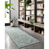 Loloi Ziva (ZV-04) Contemporary Area Rug