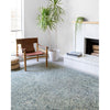 Primary vendor image of Loloi Ziva (ZV-04) Contemporary Area Rug