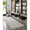 Loloi Ziva (ZV-05) Contemporary Area Rug