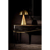Noir Skuba Table Lamp, Metal w/ Brass Finish, 13.5"